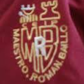 C.E.I.P. MAESTRO ROMÁN BAILLO