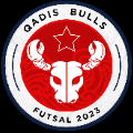 QADIS BULLS B