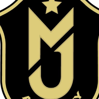MJ Academy