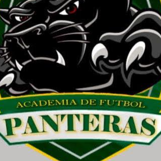 Academia Panteras Querétaro México