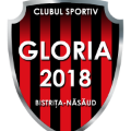 C.S. Gloria 2018 Bistrita-Nasaud 2