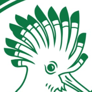 Mārupes NSS