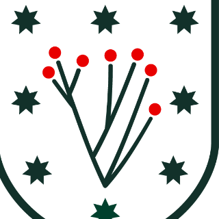 Orvalle Pre benjamín 1