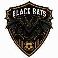BLACK BATS