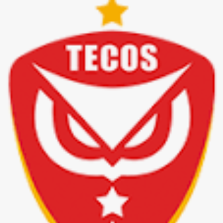 Tecos FC