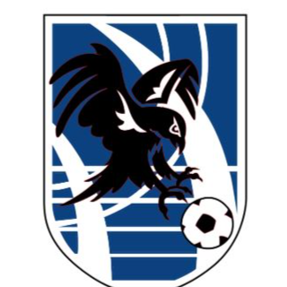 CDE Fuenlabrada Falcons
