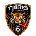 Logo Team