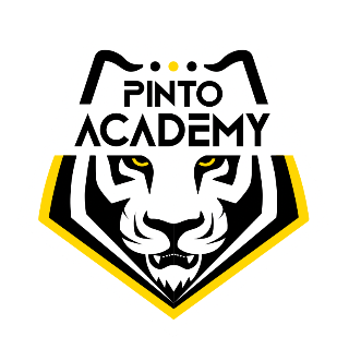 Pinto Academy FC