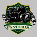 Academia Panteras Querétaro México