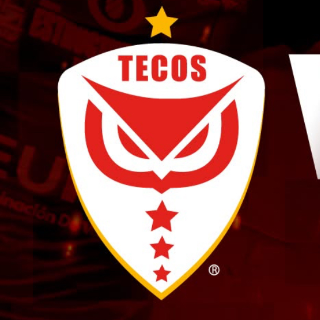 Club Estudiantes Tecos