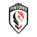 Pintores Diamante