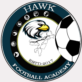 Hawk football academy